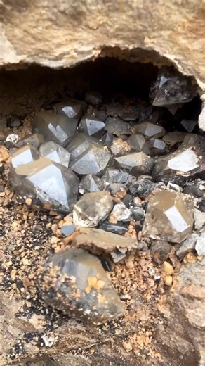 A beautiful picturesque Herkimer Diamond crystal pocket as seen right after opening. This was discovered at Treasure Mountain Mine in past years with 6sio2 crew Definitely worthy of a continued share. Video 🎥 copyright ©️thecrystalconduit #thecrystalconduit #quartzcrystal #herkimerquartz #gem #pocket #herkimerdiamond #clarity #sio2 #cristal #mineralogy #minerals #stones #quartzcluster #crystals #rockcollection #kristalle #geolgy #geologyrock #doubleterminated #picturesque #earthart #crystallove