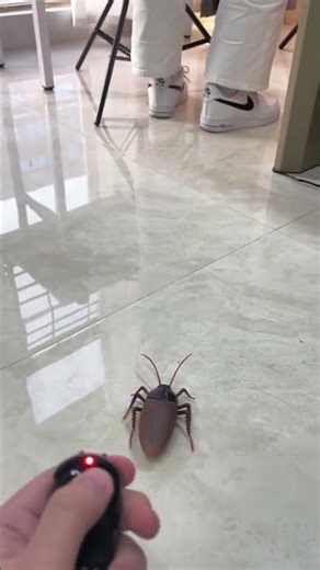 Remote-Controlled Electronic Cockroach Prank Toy | OEM Factory China | Too Funny to Handle