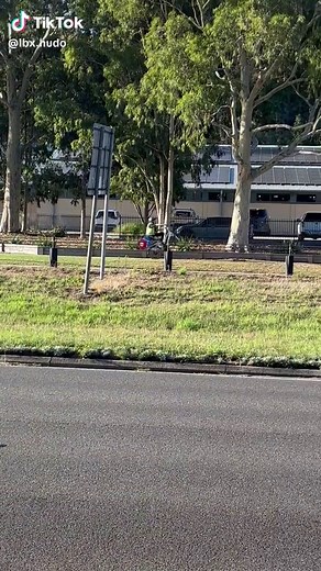 Domino's Delivery Excellence: A New Standard