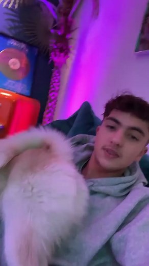 Le chien Yuki a trouvé sa crush 😍