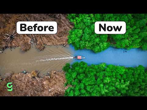 Your Monthly Dose of Good News | April
