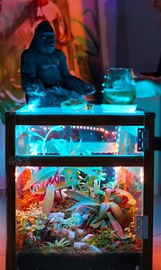 43K views · 56 reactions | Remake an old chair into an indoor oasis! | 5-Minute Recycle | Facebook