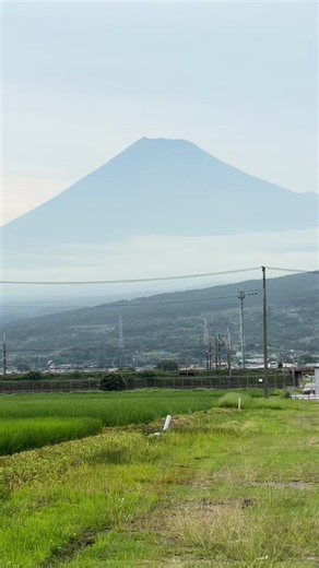 ダ・カーポ『野に咲く花のように』歌詞にじーんと来る理由