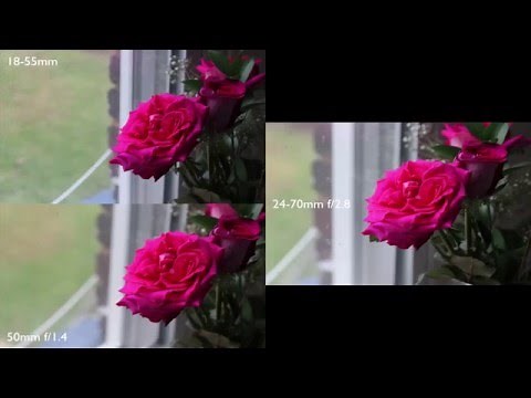 Canon T5 Rebel Picture and Video Test Results