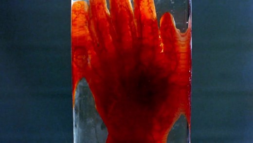 Man Behind The Sun 2 Laboratory Of The Devil(1992)