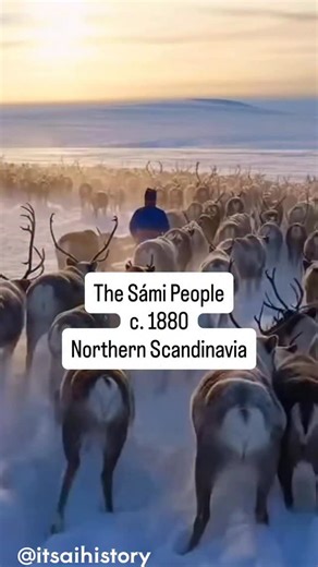 Parker Gordon | 🦌 c. 1880 | The Sámi People | Sápmi (the Sámi homeland) What you’re seeing: A Sámi herder guiding a reindeer herd across winter tundra... | Instagram
