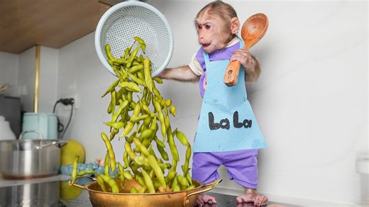 Lala goes into the kitchen to show off her cooking skills making grandma surprised #lala #lalalala_challenge #lalalachallenge #babylala | Lexi Marvel