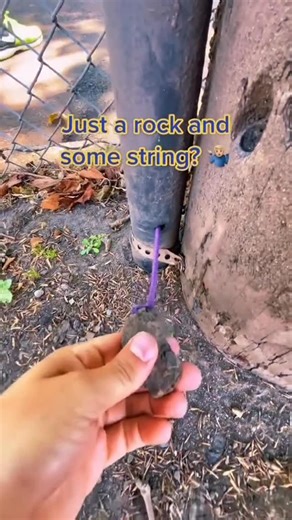 Hullsome on Instagram: "Follow me to learn more 😊 Download the Geocaching app and see if any caches are hidden in your area!"