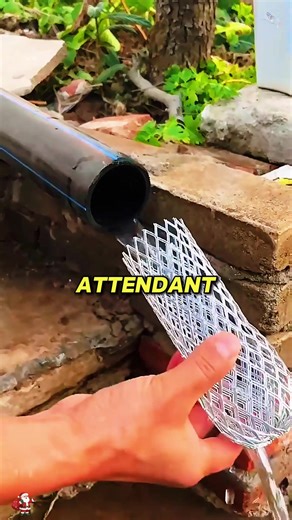 Life as a Flight Attendant: A Reddit User's Story