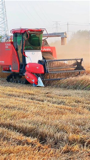 Kubota full feed paddy harvester 🌾 #shorts #agriculture #harvester