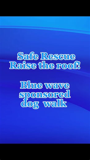 Safe Rescue for Dogs : Blue Wave Sponsored Dog Walk REGISTRATION is now OPEN To register, please click the link below and choose if you wish to take part in the solo walking or join one of the two Safe Rescue VIP slots and walk with Kelly or Zoe, spaces on these two walks are strictly limited to 25 walkers per walk! Registration https://bit.ly/4soT6F6 NB Registration costs £10 per walker. Once registered you will receive a confirmation email including instructions on how to start collecting your