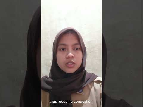 Public transportation problems