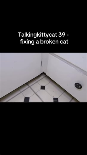 Talking kitty cat 39 - fixing a broken cat #talkingkittycat #stevecash #series39 #fyp #xybca #xyabc