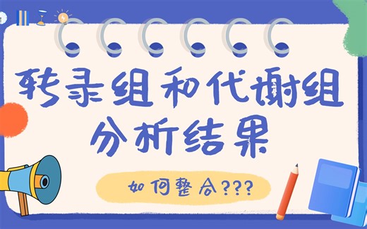 如何整合转录组和代谢组分析结果，这篇文章交了一份完美答卷