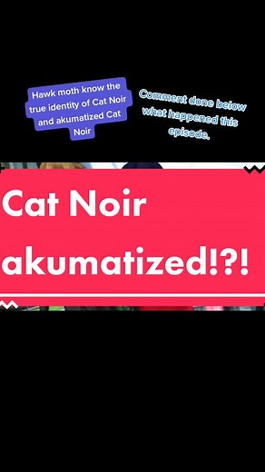 Hawk moth knows the true identity of Cat Noir and akumatized Cat Noir!#miraculousladybug #catnoir #hawkmoth #ladybug #akumatized #foryoupage #foryou