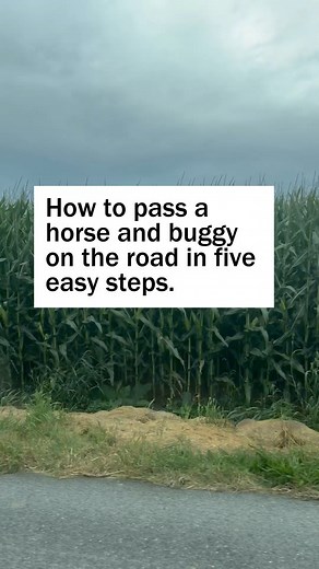 124K views · 1.3K reactions | Between 2005 and 2024, Lancaster County...
