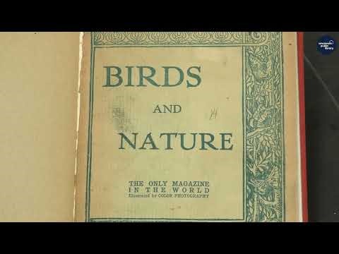 Main Library Tour #11: Periodicals