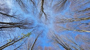 Free Silence Videos: 4K & HD | No Watermark | Download Now