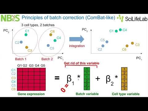 Batch Correction and Integration | NBIS Workshop in Single Cell RNA-seq Analysis 2025