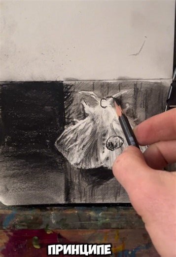 Уроки рисования онлайн / Подготовка к творческому конкурсу. #урокирисованияонлайн #учительрисованияонлайн #поступление #творческийконкурс #ирпень