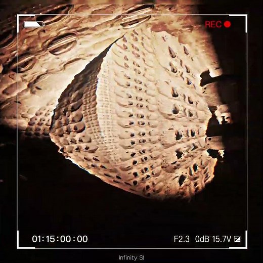 Who knows? These structures might exist somewhere 😳 #shorts #fractals