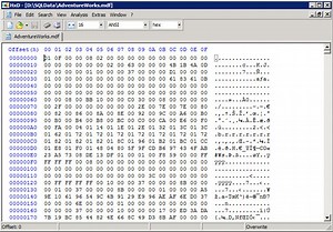 What is database corruption? And how do you deal with it?
