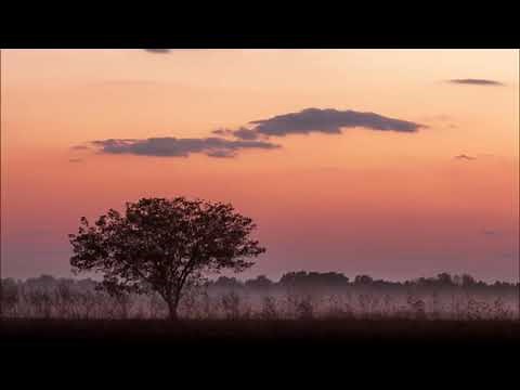 J.S.バッハ: 幻想曲とフーガ ト短調 BWV 542：幻想曲［ナクソス・クラシック・キュレーション #ゴージャス］