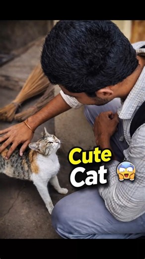 Ee Pilli Shock Ichindi 😳… Nenu Expect Cheyaledhu! #cat #saisanju