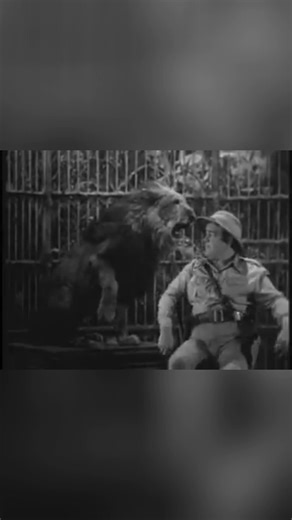 Lion needs a manicure, apparently. Lou's worried about those claws! #Comedy #MovieScene #ClassicComedy #SundayMovie