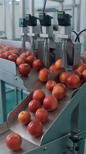 Apple Processing Factory 🍎 #factoryprocess #machine #productionfacility #fruit #factorytour