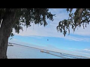 DJI 20251108111100 0046 D