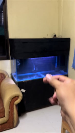 my DIY aquarium canopy #isdaislife #aquarium #tank #canopy #diy