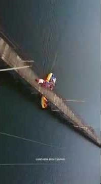 මාදුගඟ 🍃 balapitiya #subscribe#trnding#youtubeshorts#like#foryou