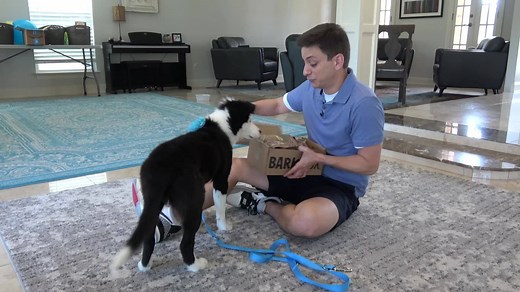 Every time our BarkBox arrives, my dog, Inertia, gets SO excited. Dogs love brand-new things, and that’s what BarkBox delivers every month: new and unique toys, plus all-natural treats and chews. Each month is inspired by a new theme, and they’ll even tailor your box so it’s exactly what your dog likes. Try BarkBox today and be sure to follow me and Inertia as we embark on our dog training adventure together! | Zak George