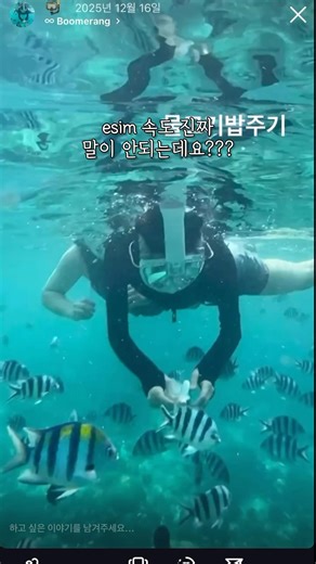 세부여행 잘터지는 eSIM추천✈️도깨비로밍 이심 설치방법, 후기