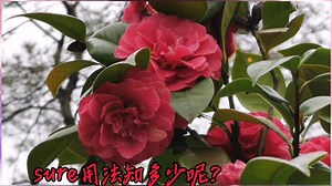 sure用法知多少呢？