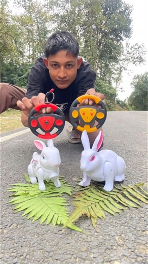 RC Remote Control 2 Ta Naya Rabbit Unboxing And Testing 😱