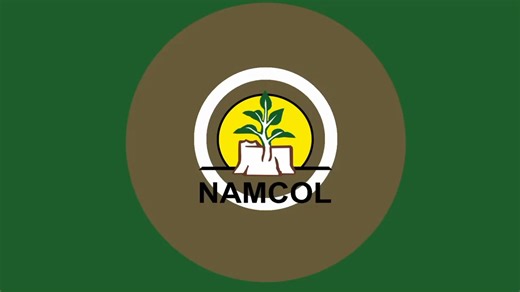 Get Ready for Success. Visit your nearest NAMCOL Bookshop today to get materials that will give you the edge you need for your mock exam .Don't wait, start your preparation journey now! | NAMCOL