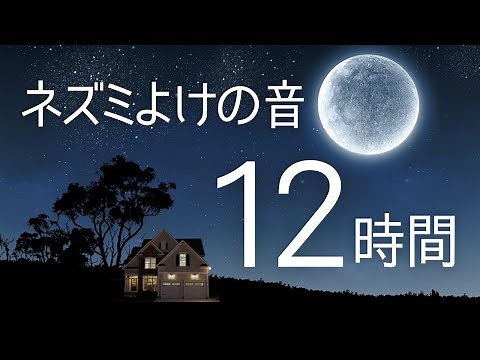 ネズミよけの音(12時間)。夜行性のネズミ対策。ネズミが嫌がる音で撃退・侵入防止