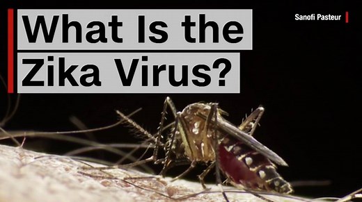 Here's what we know about the Zika virus. And here's how one company plans to fight the virus: Through genetically modified mosquitoes. Read more: http://cnnmon.ie/1lT830j | CNN Business