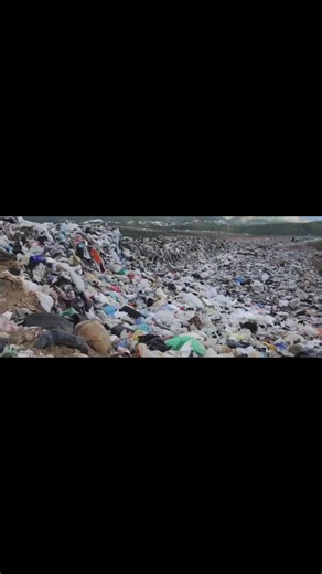 Reduce Reuse Recycle: Simple Actions for a Greener Future