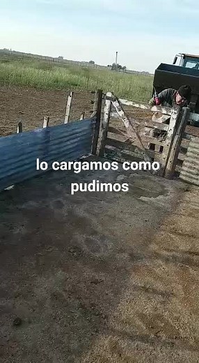 Dario Ponzio on TikTok