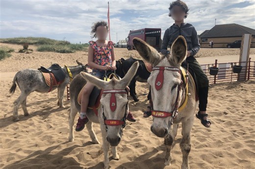 Donkey ride owner now WEIGHS kids before allowing them to ride - Netmums