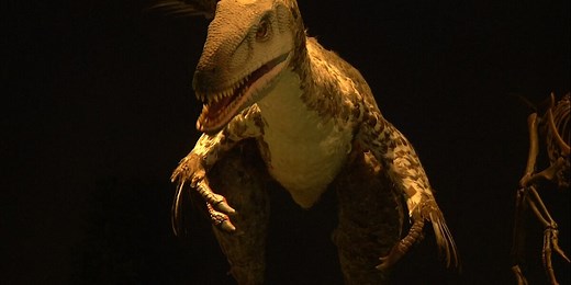 Dinosaur exhibit now open at Sloan Museum of Discovery