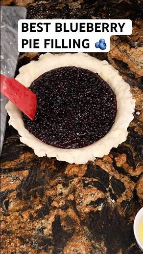 Wild Maine Blueberry Pie Filling 🫐🔥