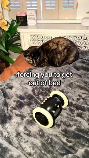 This Alarm Clock Literally Runs Away From You 😳