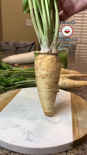 Exploring the Benefits of Parsley Root