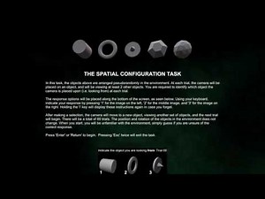 Tutorial: The Spatial Configuration Task