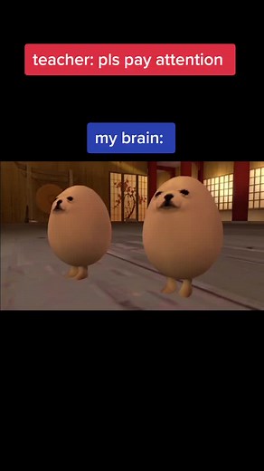 Egg Dog Meme: Funny Compilation and GIFs