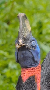 29K views · 56 reactions | How it feels waking up on a Monday | Howstuffworks | Facebook